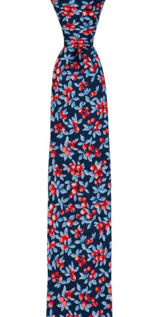 BACCARINO Navy blue skinny tie