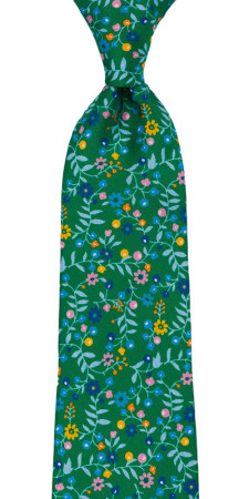 EVOCAREZZA Green classic tie