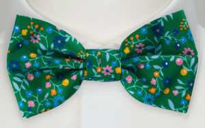EVOCAREZZA Green pre-tied bow tie