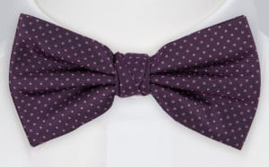 ALLAN pre-tied bow tie