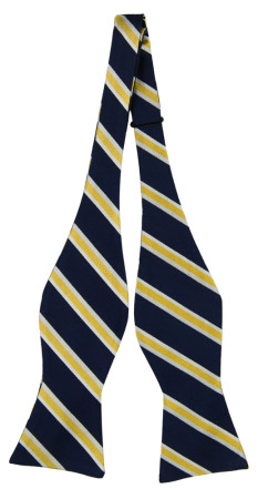 ANDOR self-tie bow tie