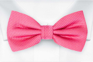 BIRDSEYE HOT PINK boy's bow tie