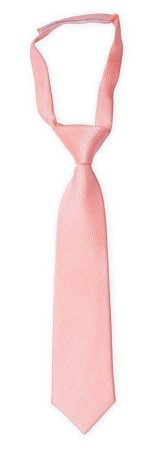 BIRDSEYE Pale pink boy's tie small pre-tied