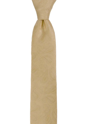 BRUD CHAMPAGNE skinny tie