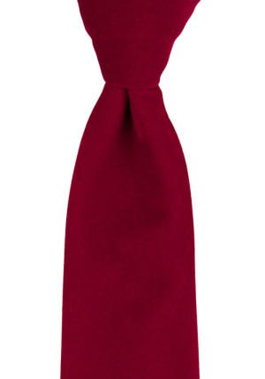 EDGAR classic tie
