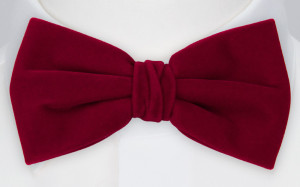 EDGAR pre-tied bow tie