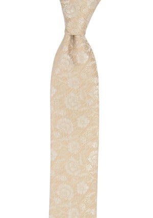 ENCHANTMENT CHAMPAGNE boy's tie medium