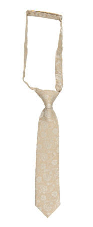 ENCHANTMENT CHAMPAGNE boy's tie small pre-tied