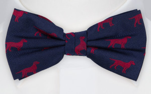 ENDAL pre-tied bow tie