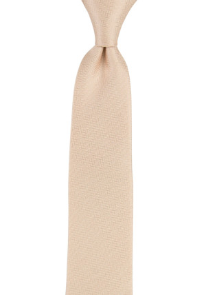 Espousal Champagne Pink boy's tie medium