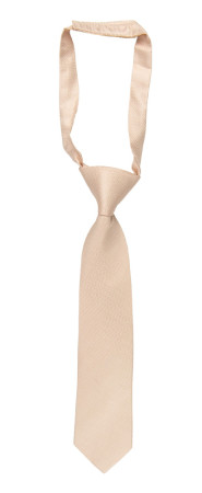 Espousal Champagne Pink boy's tie small pre-tied
