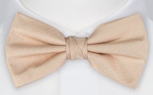 Espousal CHAMPAGNE PINK boy's bow tie