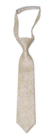 EVERAFTER Champagne gold boy's tie small pre-tied