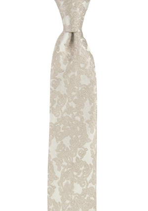 Excitement Taupe boy's tie medium