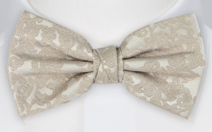 Excitement TAUPE boy's bow tie