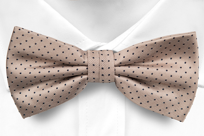 FEHMI pre-tied bow tie