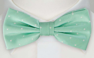 FESTLIG MINT pre-tied bow tie