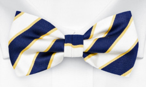 FLAGFIRE WHITE pre-tied bow tie