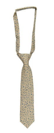FONDNESS CHAMPAGNE boy's tie small pre-tied