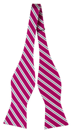 HALLIGANG FUCHSIA self-tie bow tie