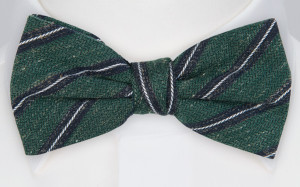 HOLDONTO GREEN pre-tied bow tie