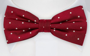 AUSTIN bow tie