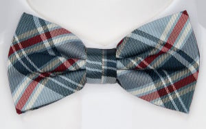 BJARKE bow tie