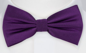 CHICO bow tie