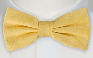 OGONSTEN YELLOW bow tie