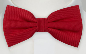 ANDY boy's bow tie