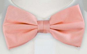 BETUTTAD Coral boy's bow tie