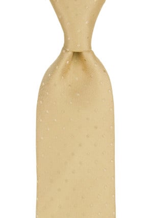 BRUDGUM CHAMPAGNE classic tie