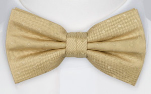 BRUDGUM CHAMPAGNE boy's bow tie