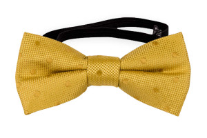 BRUDGUM GOLD baby bow tie