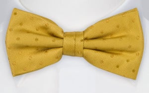 BRUDGUM GOLD boy's bow tie