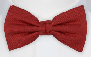 BRUDGUM RED boy's bow tie