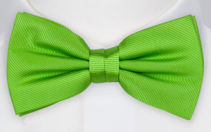 DANTE boy's bow tie