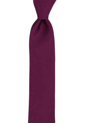DIGGIDY AUBERGINE skinny tie
