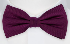 DIGGIDY AUBERGINE pre-tied bow tie