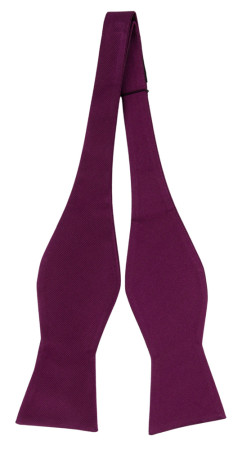 DIGGIDY AUBERGINE self-tie bow tie