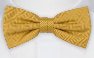 DRUMMEL GOLD boy's bow tie