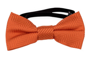 DRUMMEL ORANGE baby bow tie
