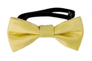 DRUMMEL Yellow baby bow tie