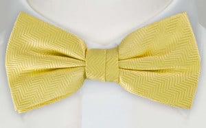 DRUMMEL Yellow boy's bow tie