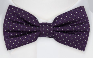 HAGELSTORM PURPLE pre-tied bow tie