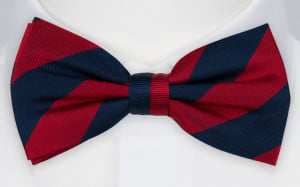 HYVENS RED boy's bow tie