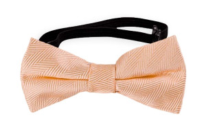 JAGGED Apricot baby bow tie