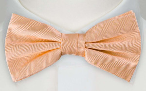 JAGGED Apricot boy's bow tie