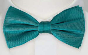 LABAN boy's bow tie
