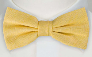 OGONSTEN YELLOW pre-tied bow tie